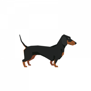 Jazavičar Pas Lopov Karikatura